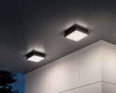 - Alu | Zafferano Italia