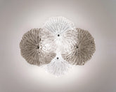 - Mariposa | Zafferano Italia