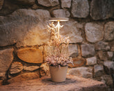 - Poldina Reverso | Zafferano Italia