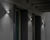 - Sole | Zafferano Italia