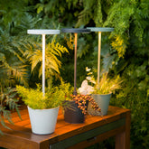 Poldina Reverso table lamp - Sage green | Zafferano Italia