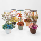 Poldina Reverso table lamp - Sage green | Zafferano Italia