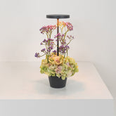 Poldina Reverso table lamp - Sage green | Zafferano Italia