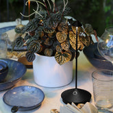 Pina lampe de table - Outdoor | Zafferano Italia