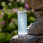SAM Collection collins highball - claro | Zafferano Italia
