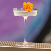 SAM Collection - Trasparente | Zafferano Italia