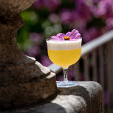 SAM Collection - Trasparente | Zafferano Italia