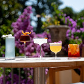 SAM Collection collins highball - Trasparente | Zafferano Italia