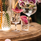 Veneziano Mixology goblet - Clear | Zafferano Italia