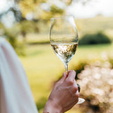 Ultralight goblet - Clear | Zafferano Italia