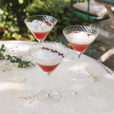 Veneziano Mixology coupe - Transparent | Zafferano Italia