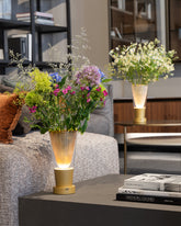 - Zafferano Italia | Official Website