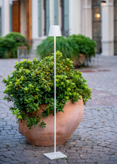  | Zafferano Italia
