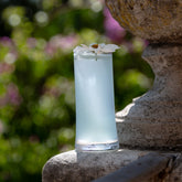 SAM Collection collins highball  - Trasparente | Zafferano Italia