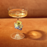  - Zafferano Italia | Official Website