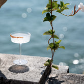SAM Collection   - Clear | Zafferano Italia