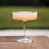 Veneziano Mixology coupe  - Transparent | Zafferano Italia