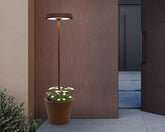  - Poldina Reverso Solar | Zafferano Italia